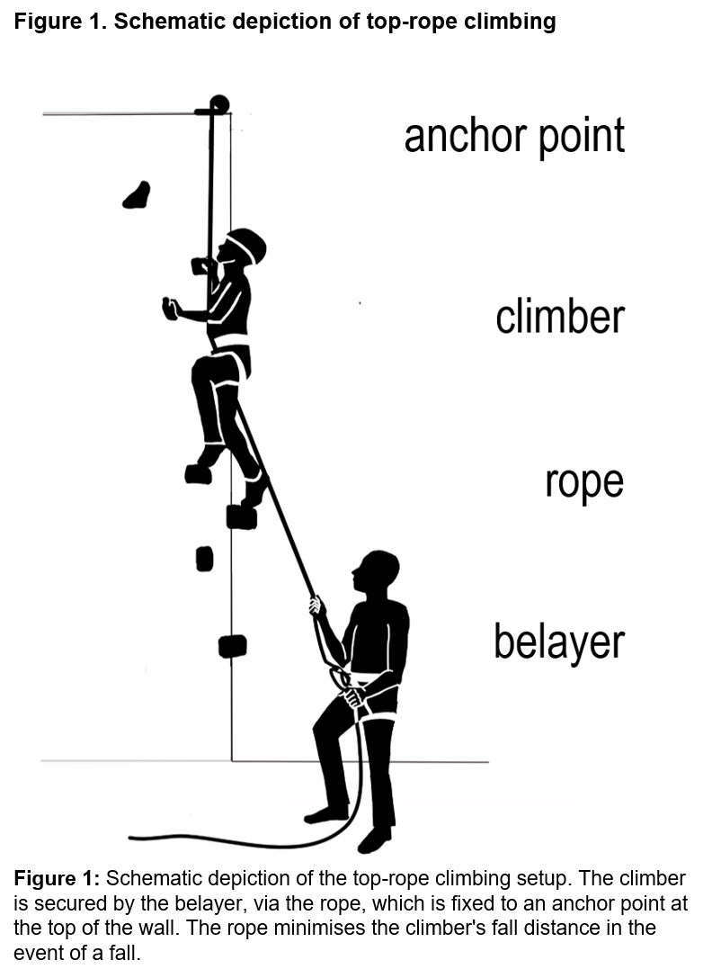 Climb up! Head up! Effectiveness and feasibility of sport climbing