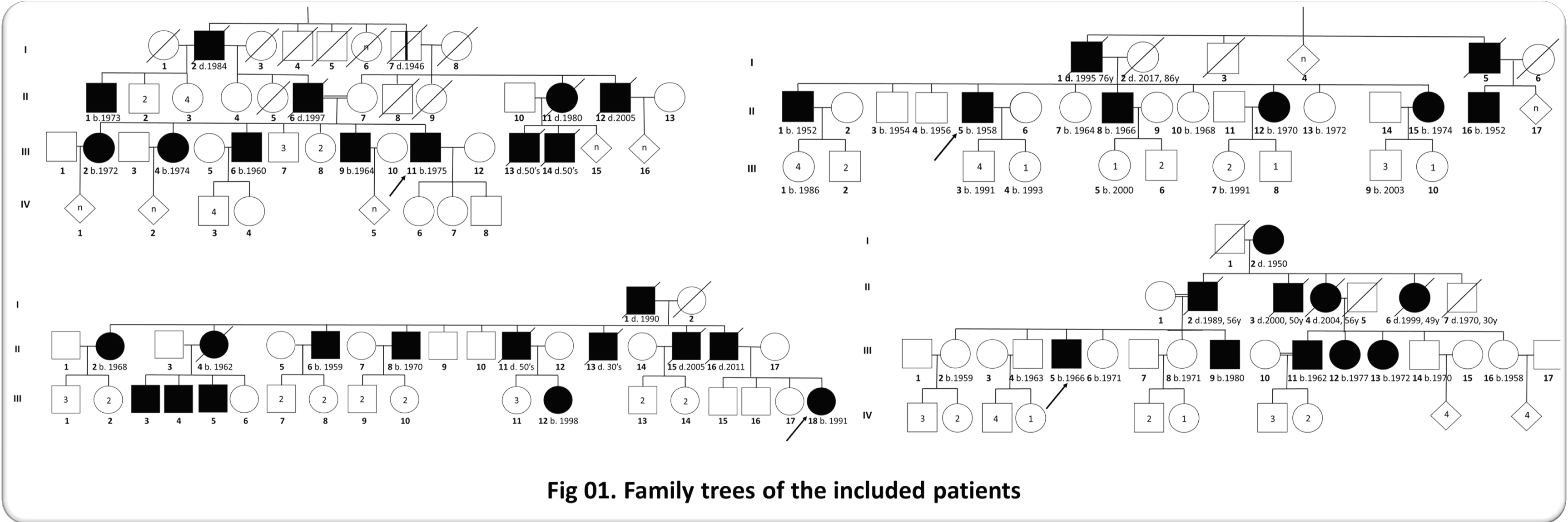 Fig 01 Family trees of the included patients