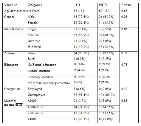 Comparison of demographic characteristics between TD and PIGD patients