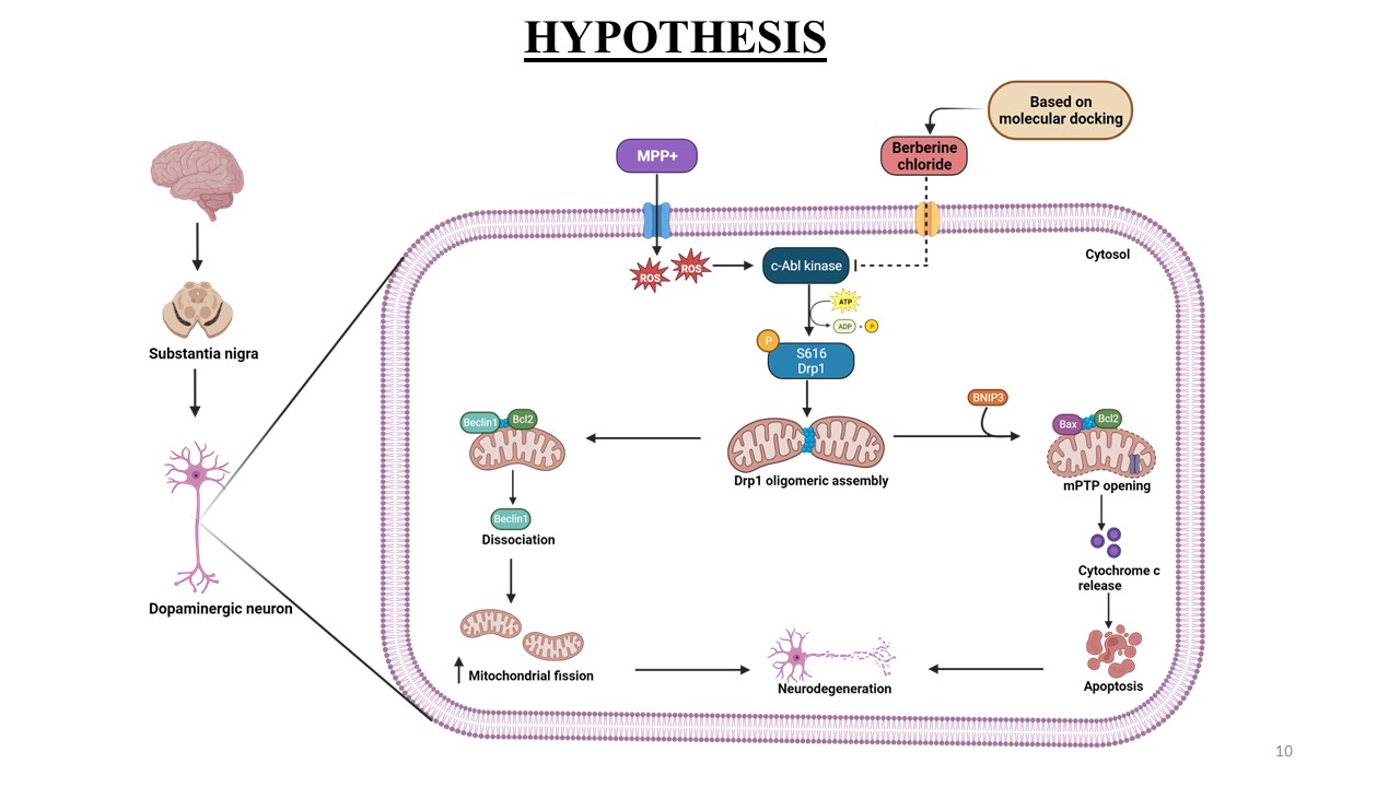 Hypothesis