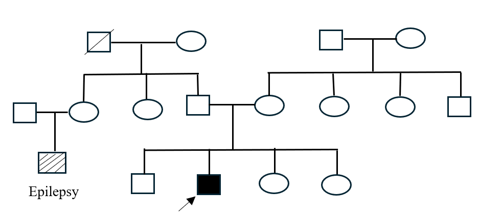 Figure 1. Pedigree chart