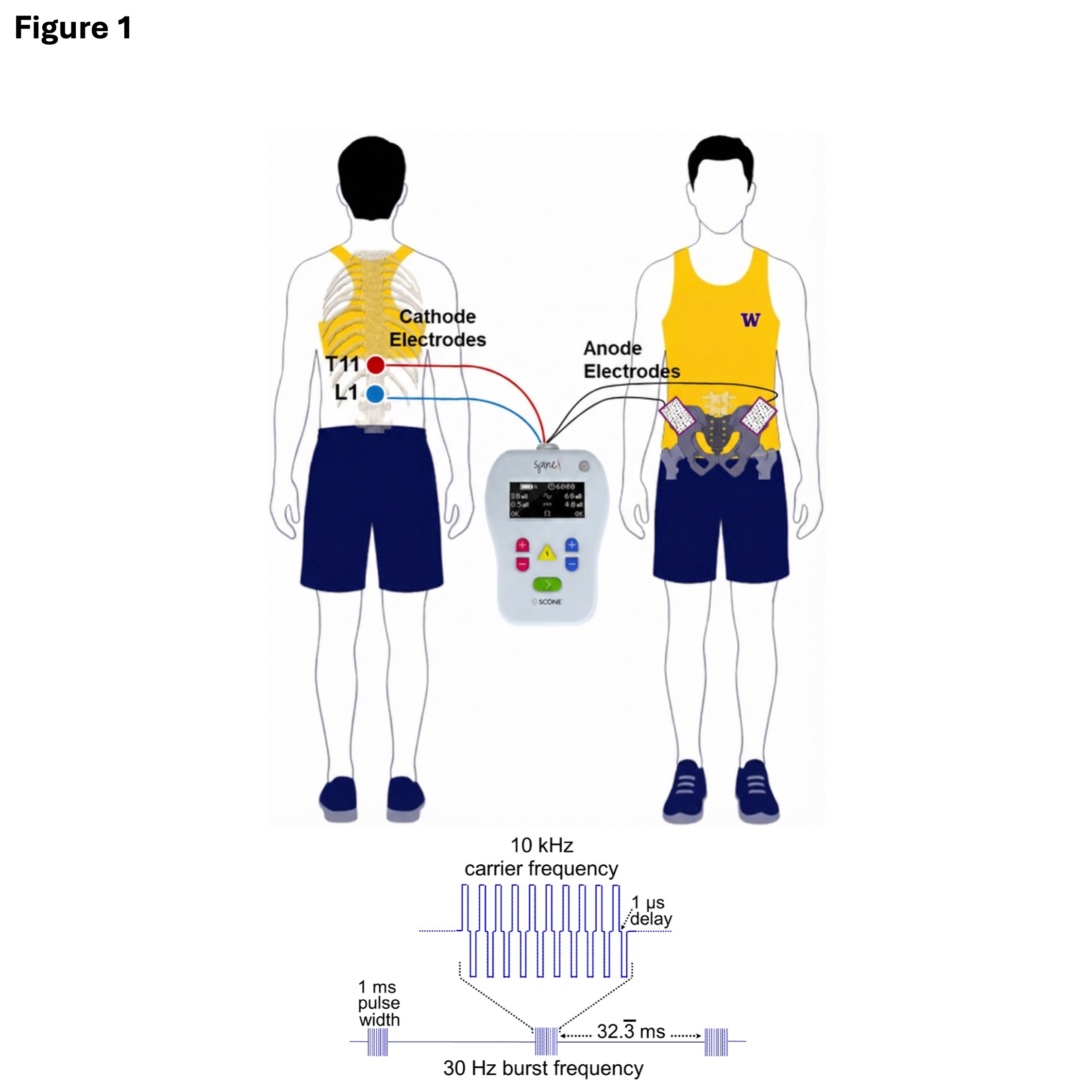 Figure 1