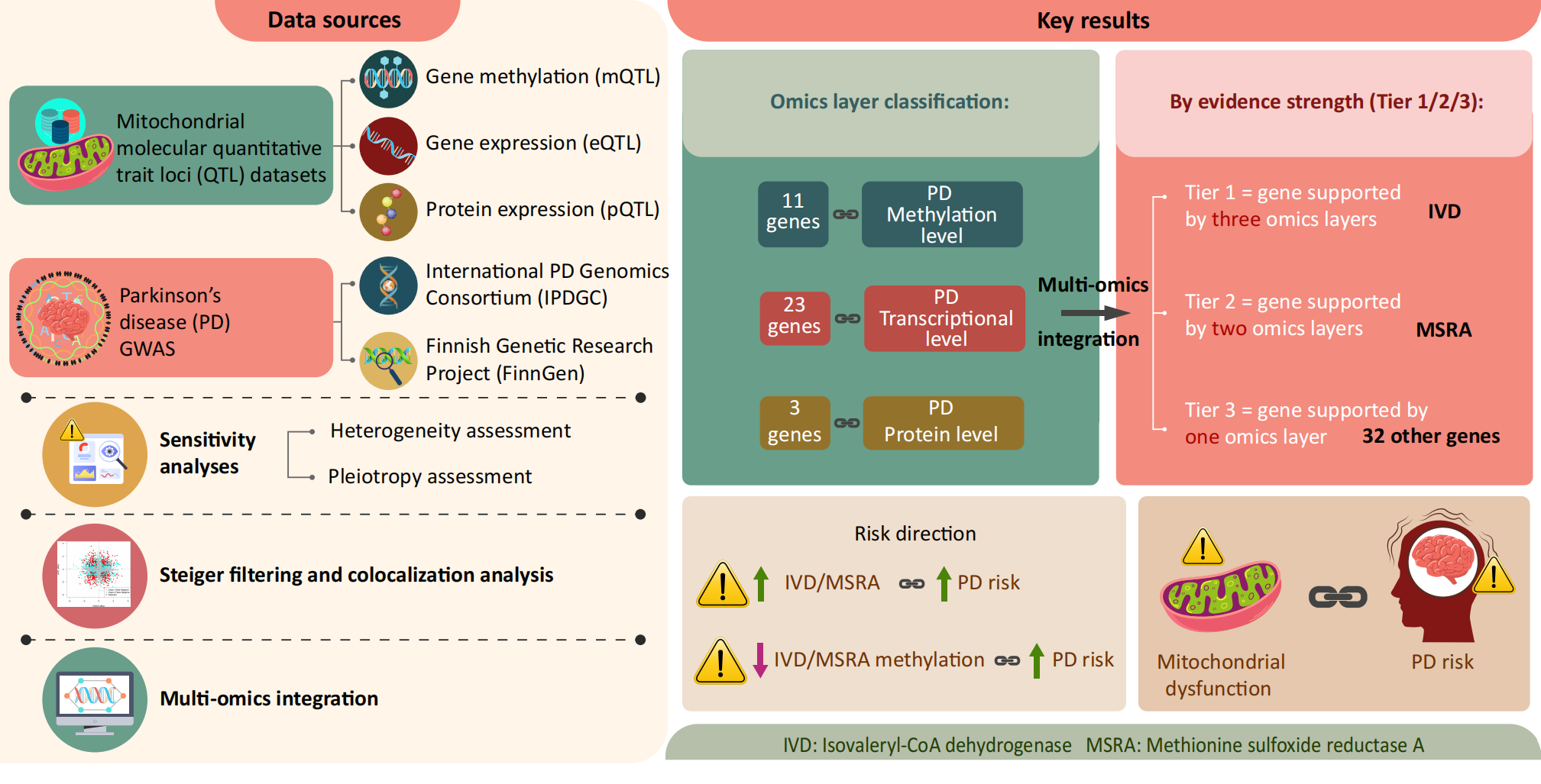 Graphical Abstract