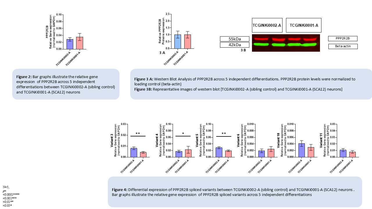 Gene and Protein Expression