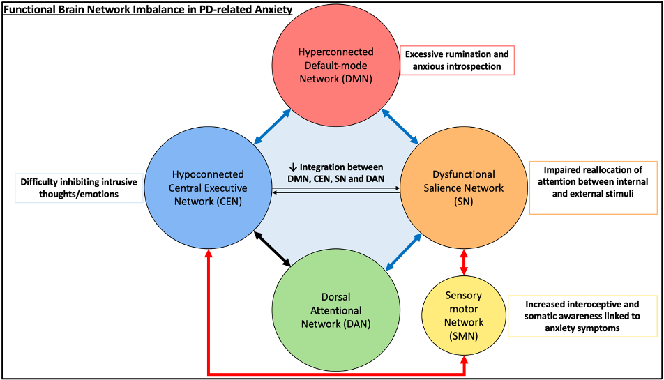 Functional network imbalance in PD-related Anxiety