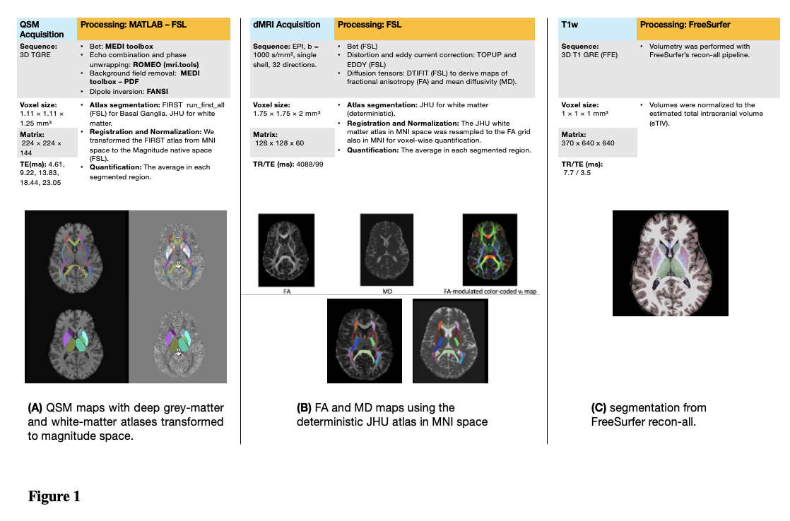 Multimodal MRI acquisition and processing workflow