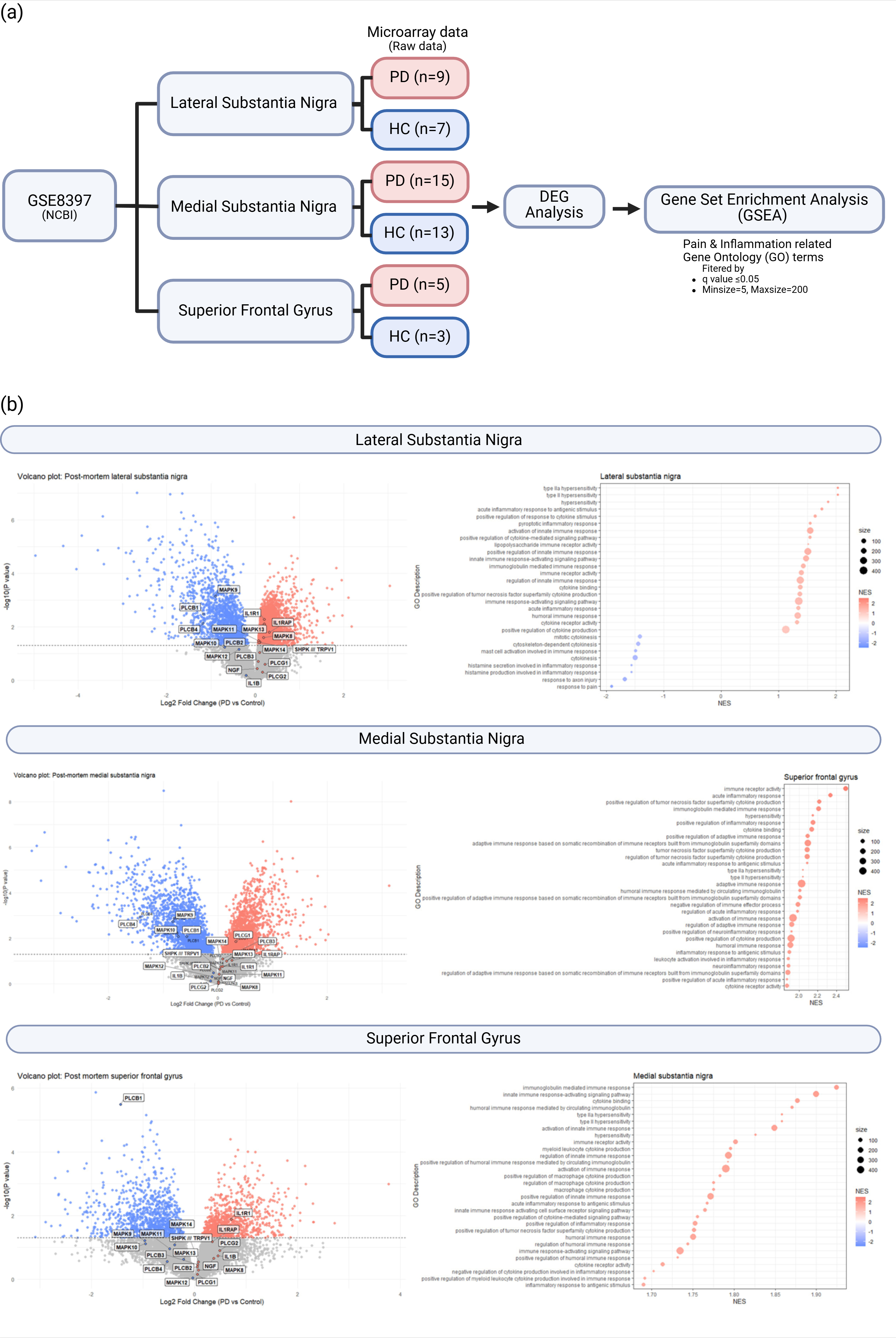 GSE8397 cohort CNS data