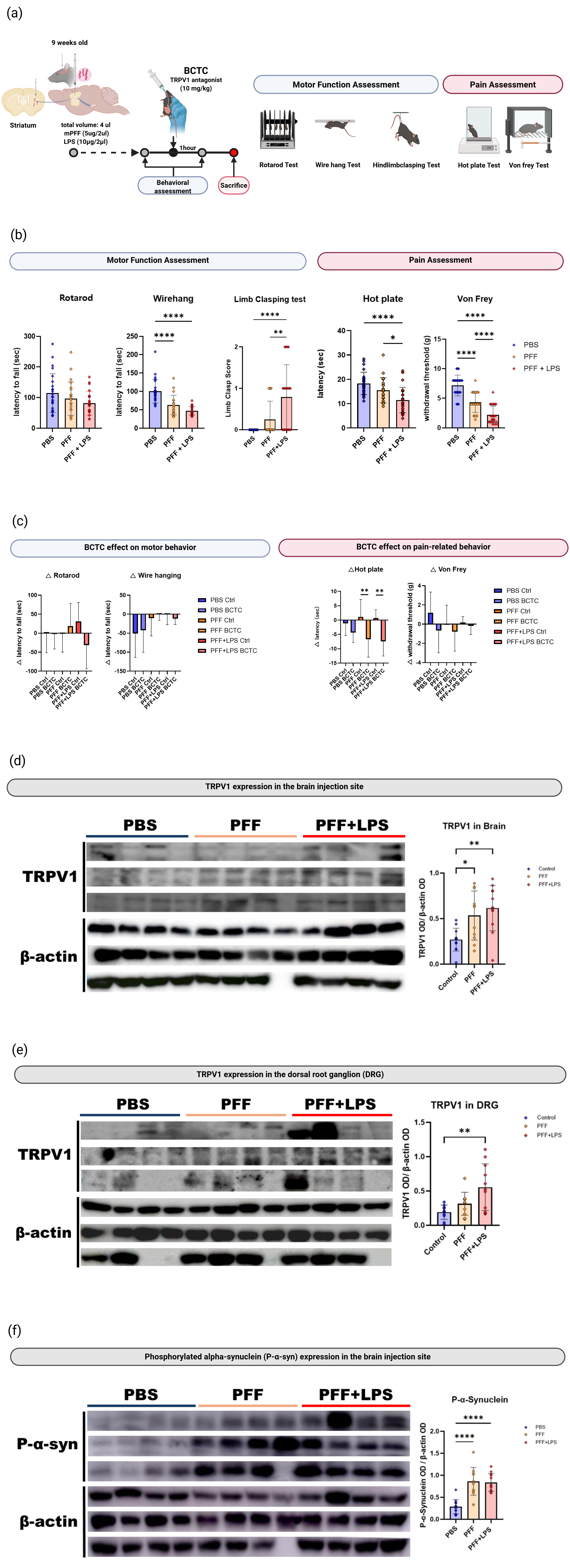 In Vivo test Data