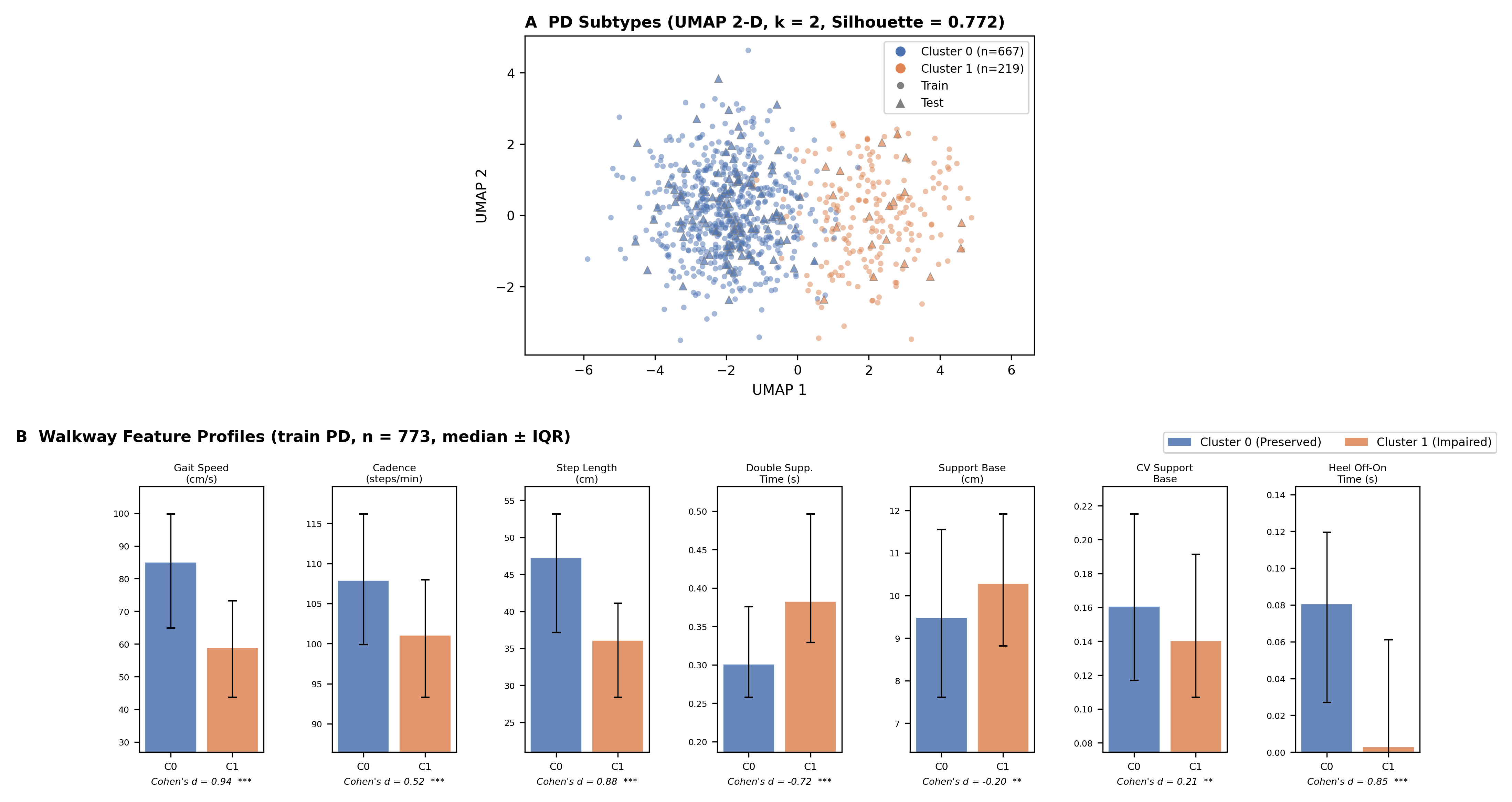 PD gait subtypes and cross-modality validation