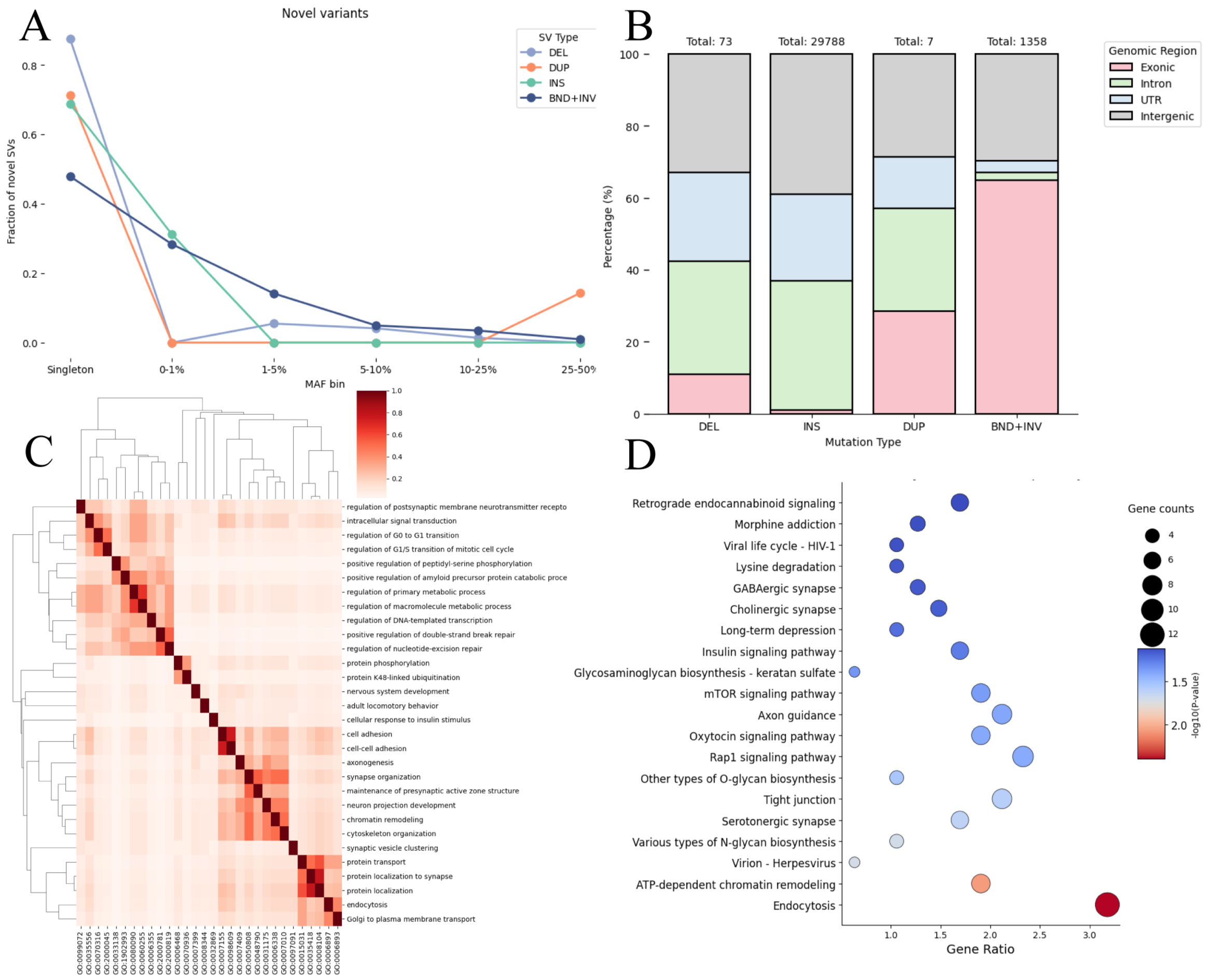 Figure 3. Novel SV distribution and function in ET