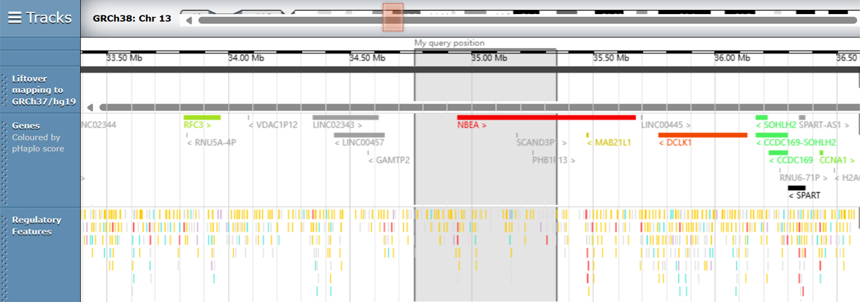 Fig 2. Schematic of duplicated genomic regions.