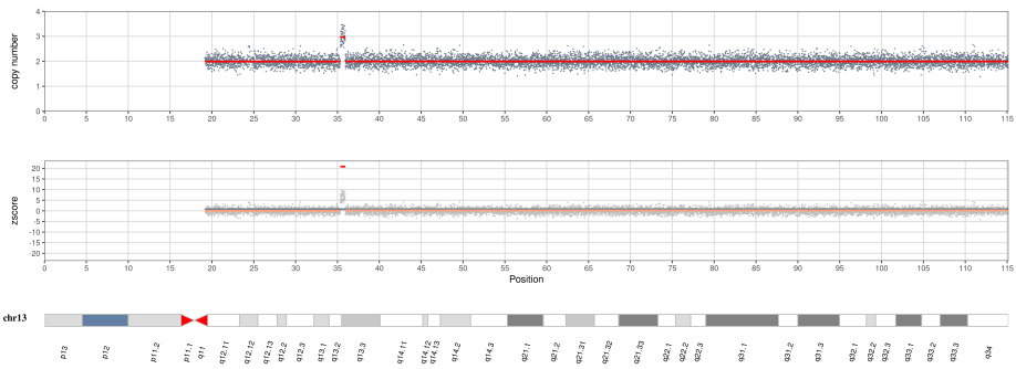Fig 3. CNVseq of the proband's father.
