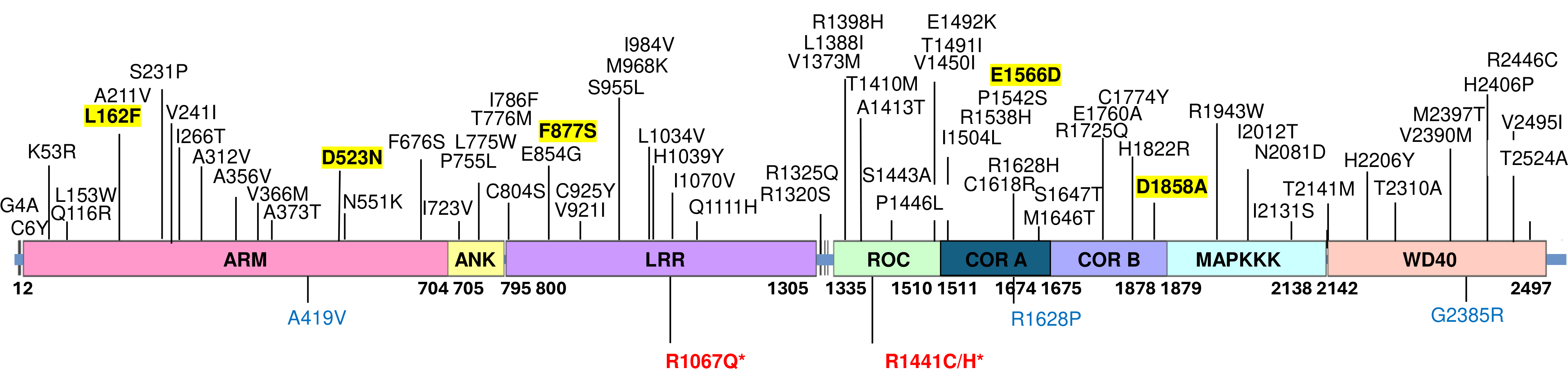 Figure 1:LRRK2 variants identified in Malaysian