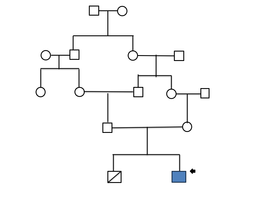 Figure 1. Pedigree