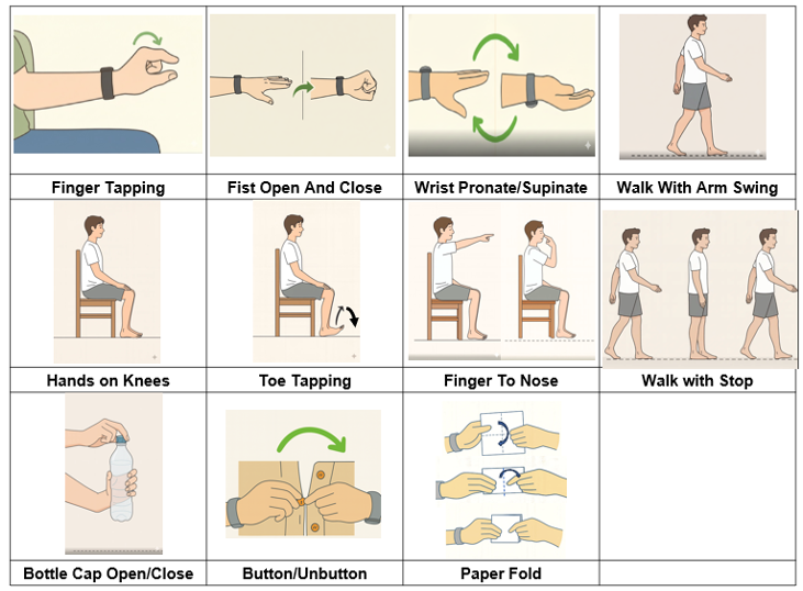Figure 1. Curated motion analysis activities