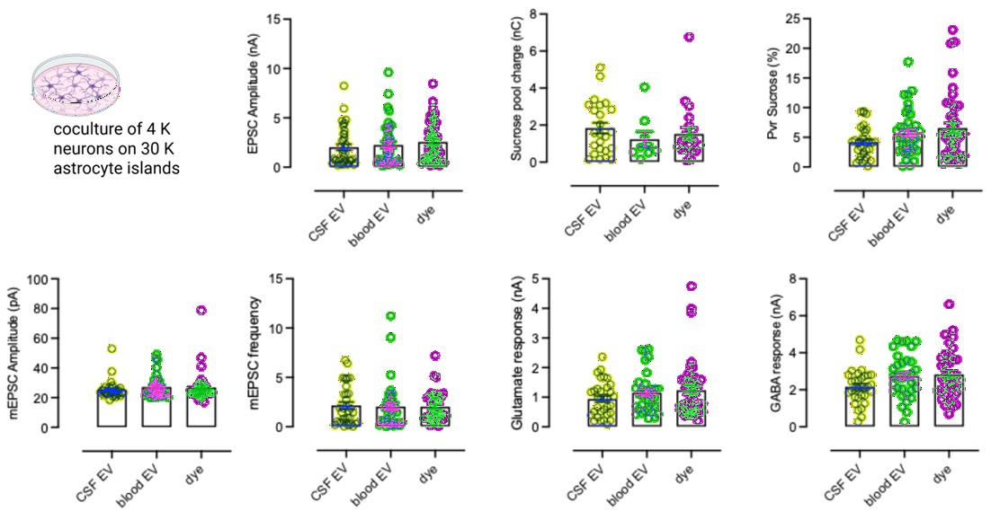 Standard Cultures Show No EV Effect