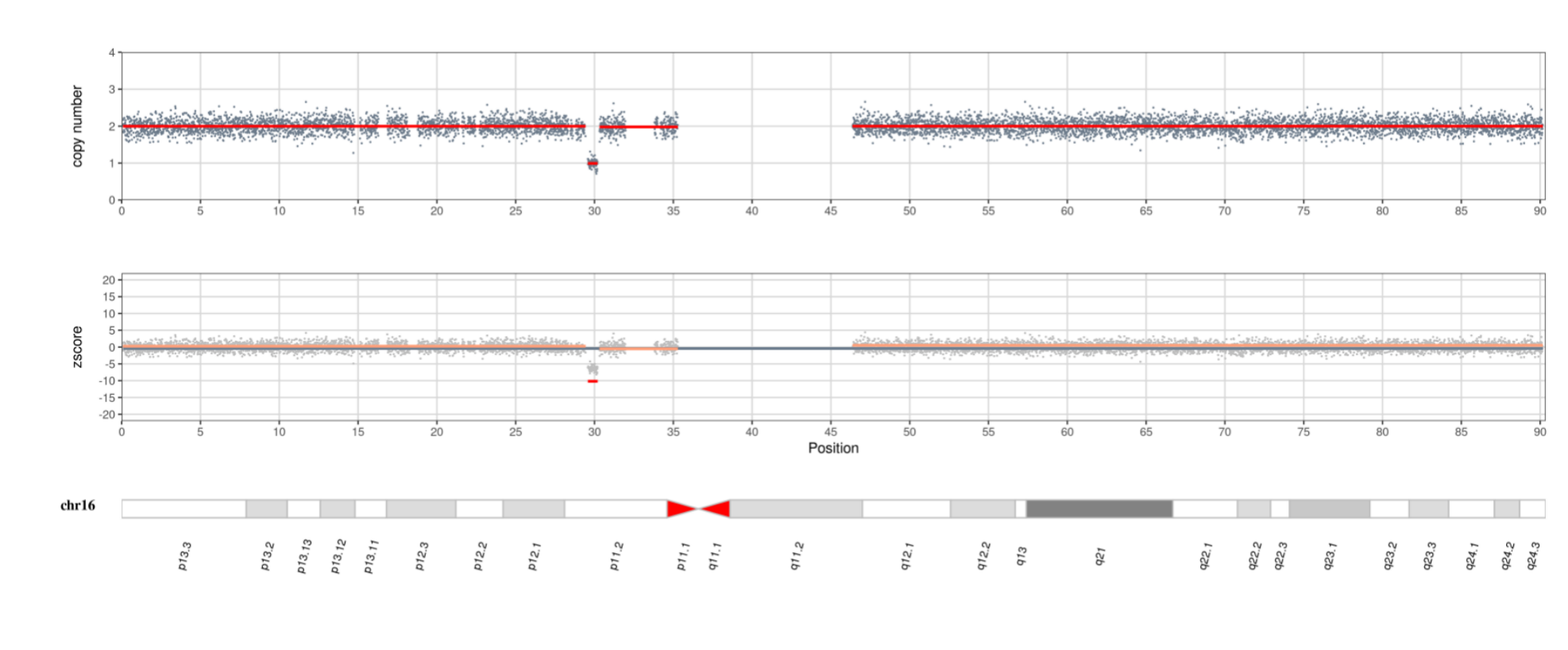 Detailed map of chromosome 16 analysis results