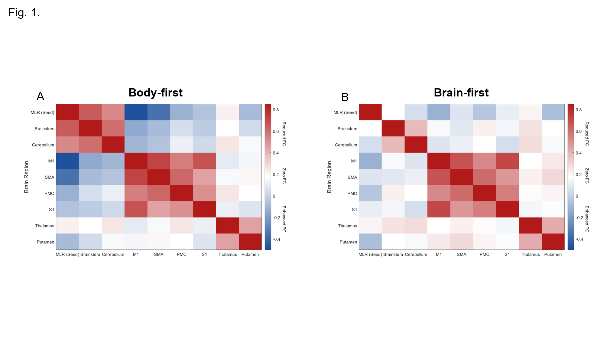 Fig.1 Functional connectivity matrix plot