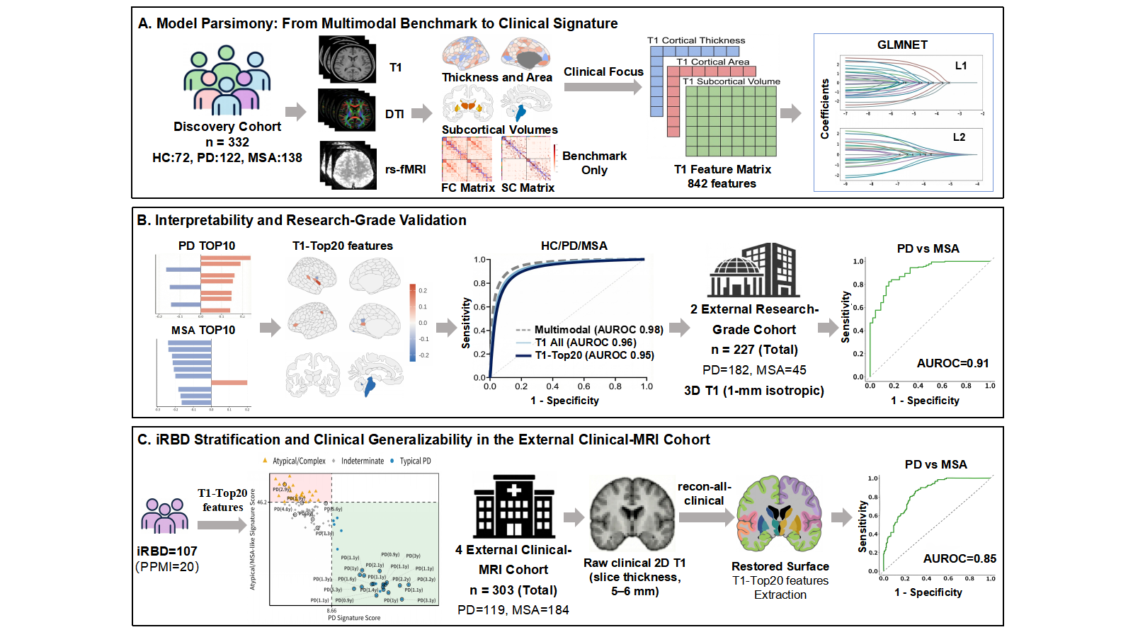 Study Workflow and Cohort Allocation