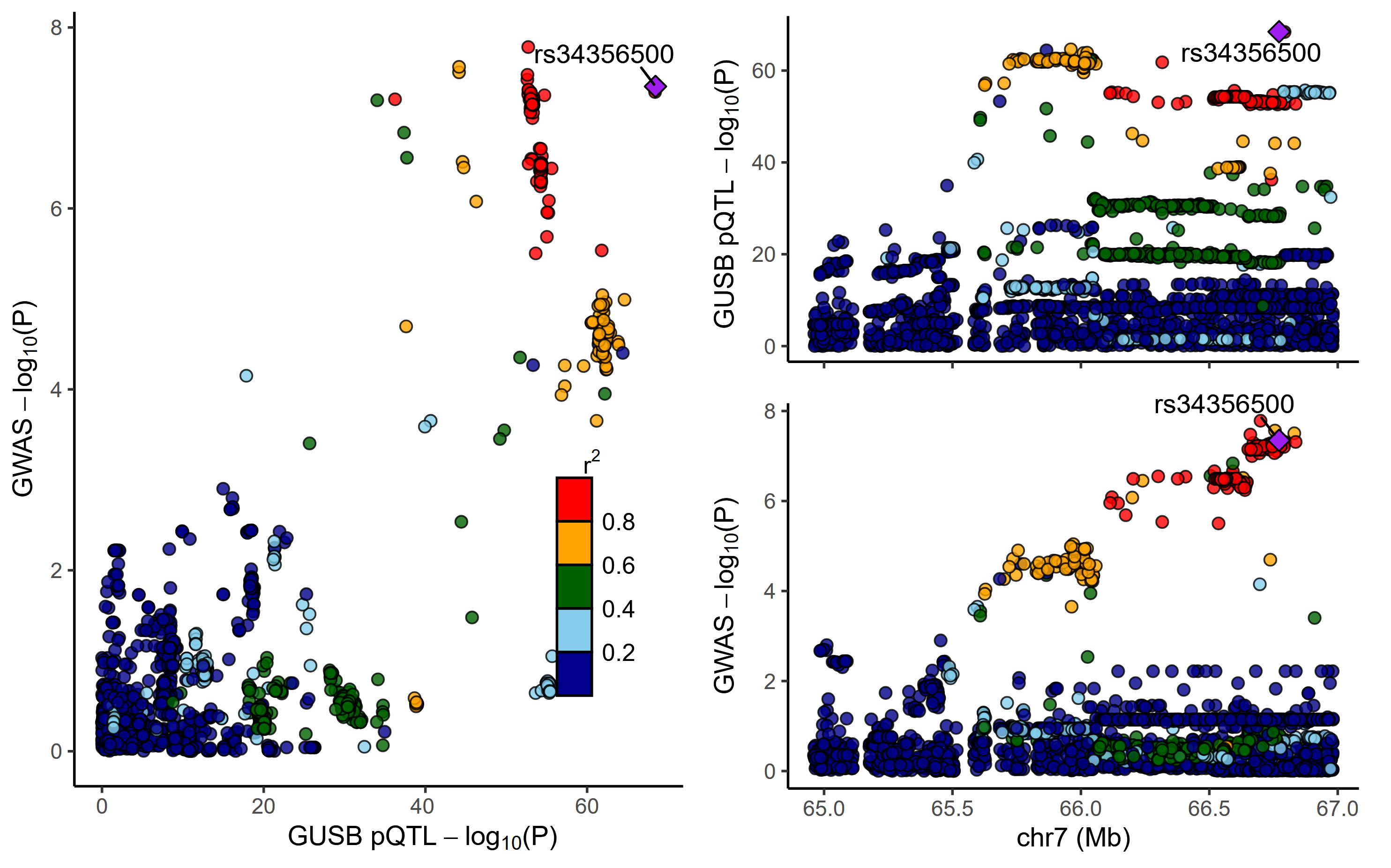 Colocalization of GUSB pQTL and MSA in UKB-PPP