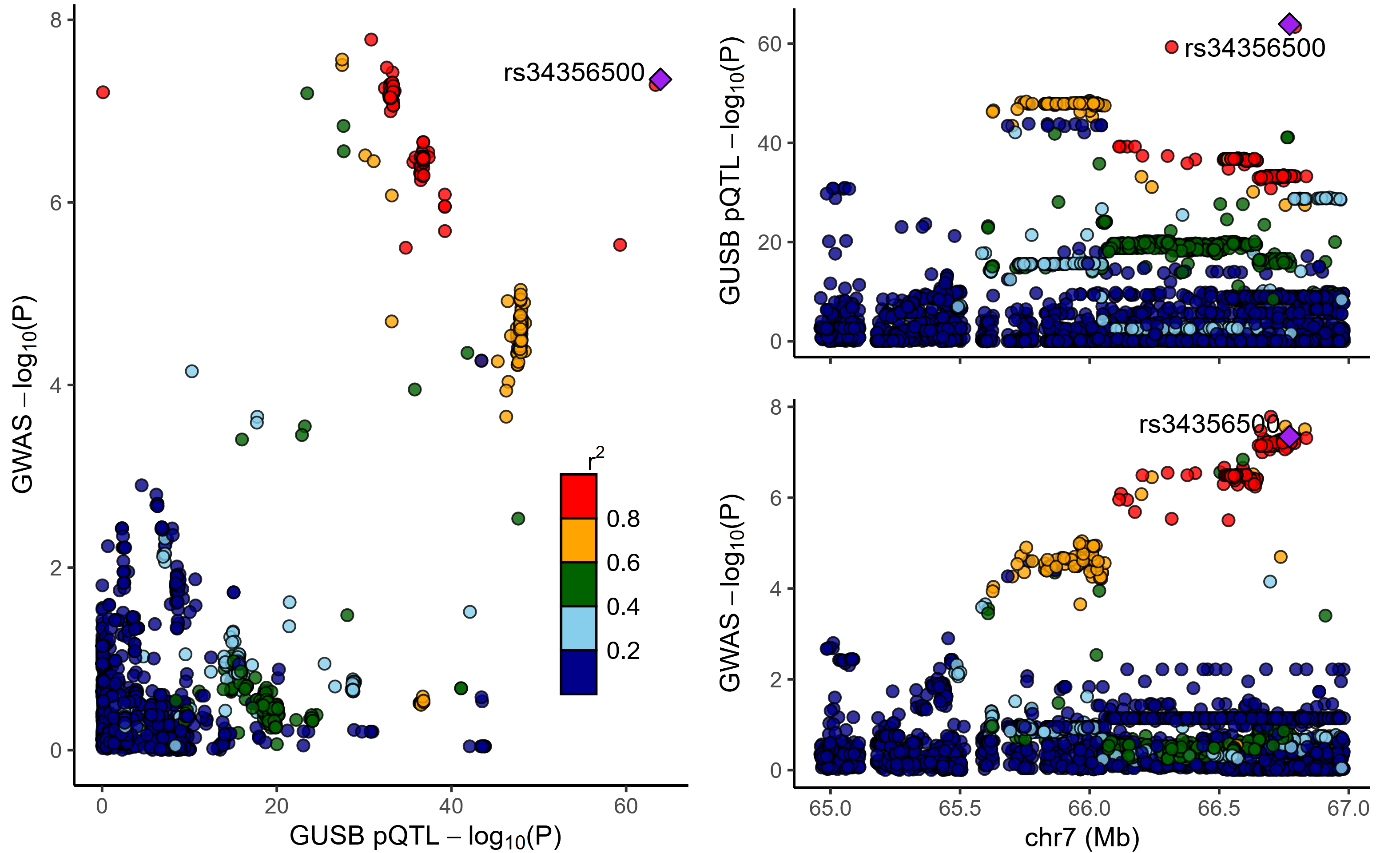 Colocalization of GUSB pQTL and MSA in deCODE