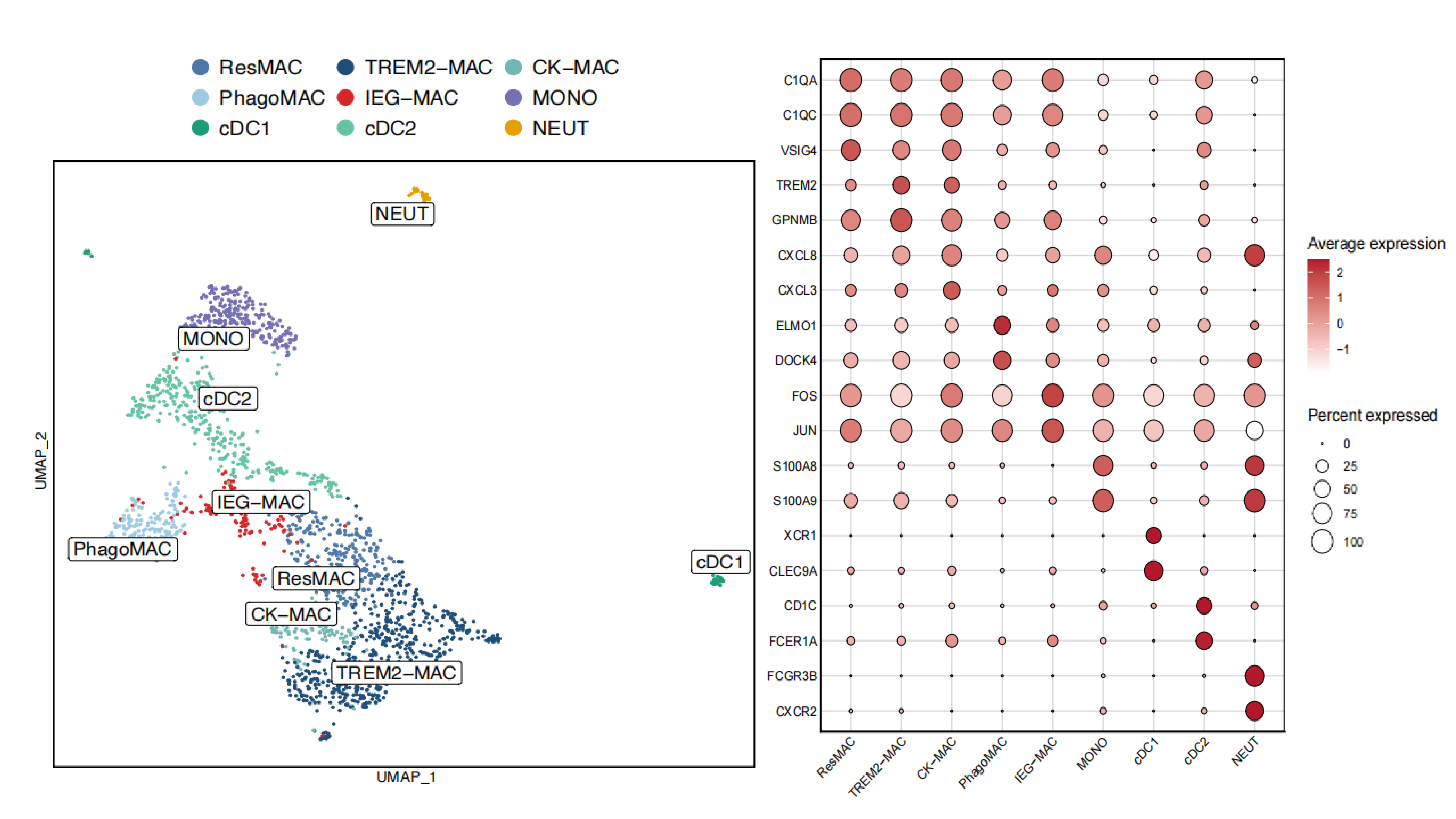 Single-Cell Sequencing of Myeloid Cells