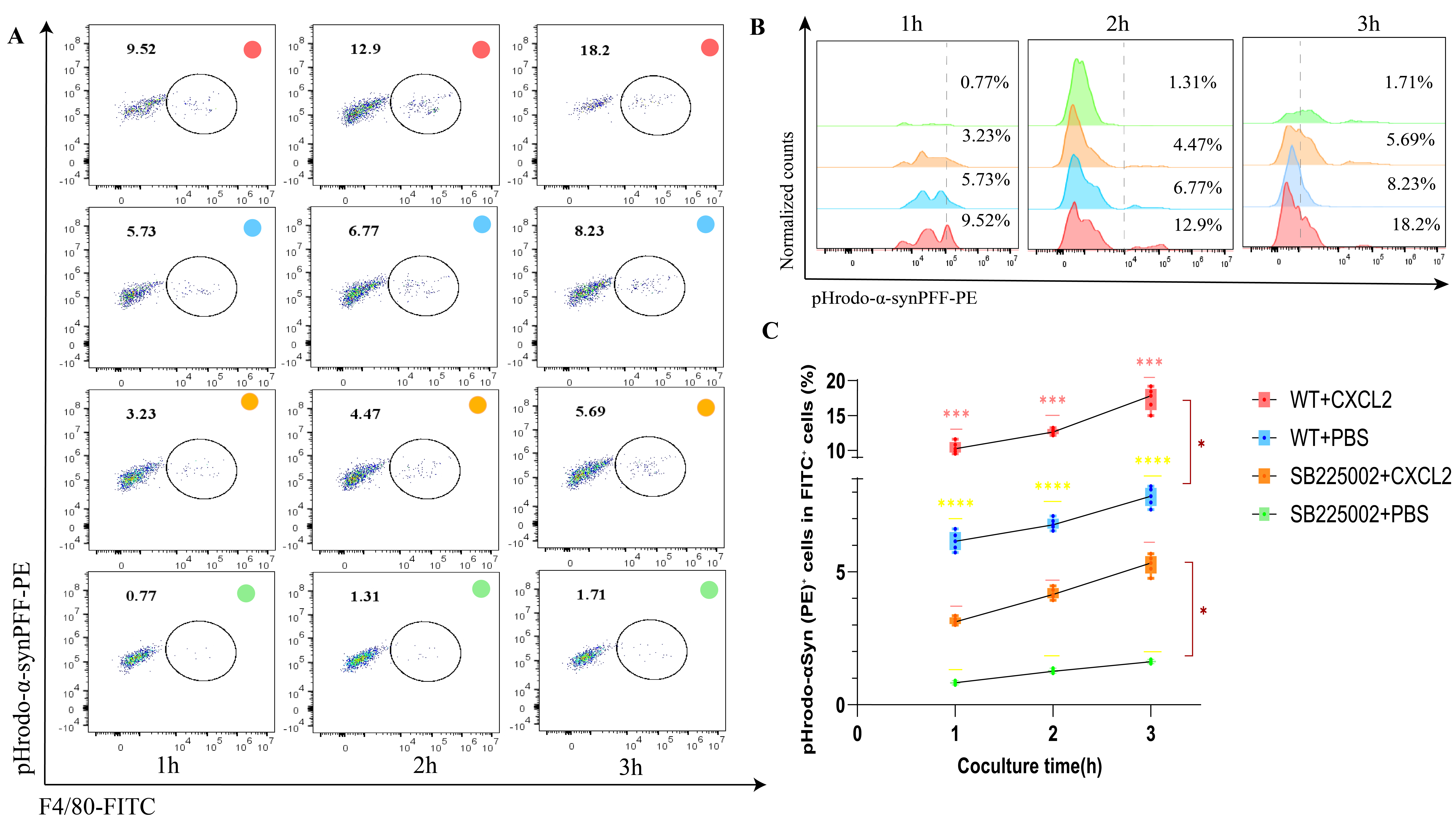 FC Results of α-syn Phagocytosis by BMDMs