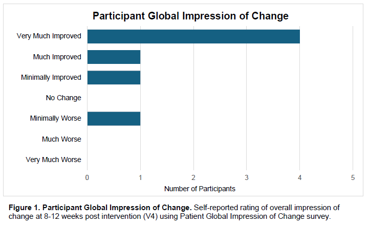 Figure 1. Participant Global Impression of Change