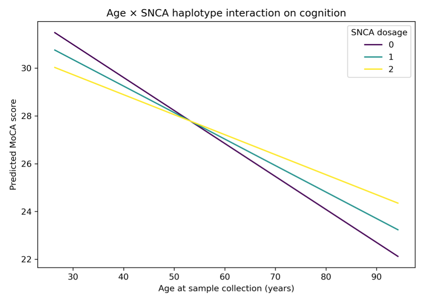 Figure 2. Age X SNCA haplotype