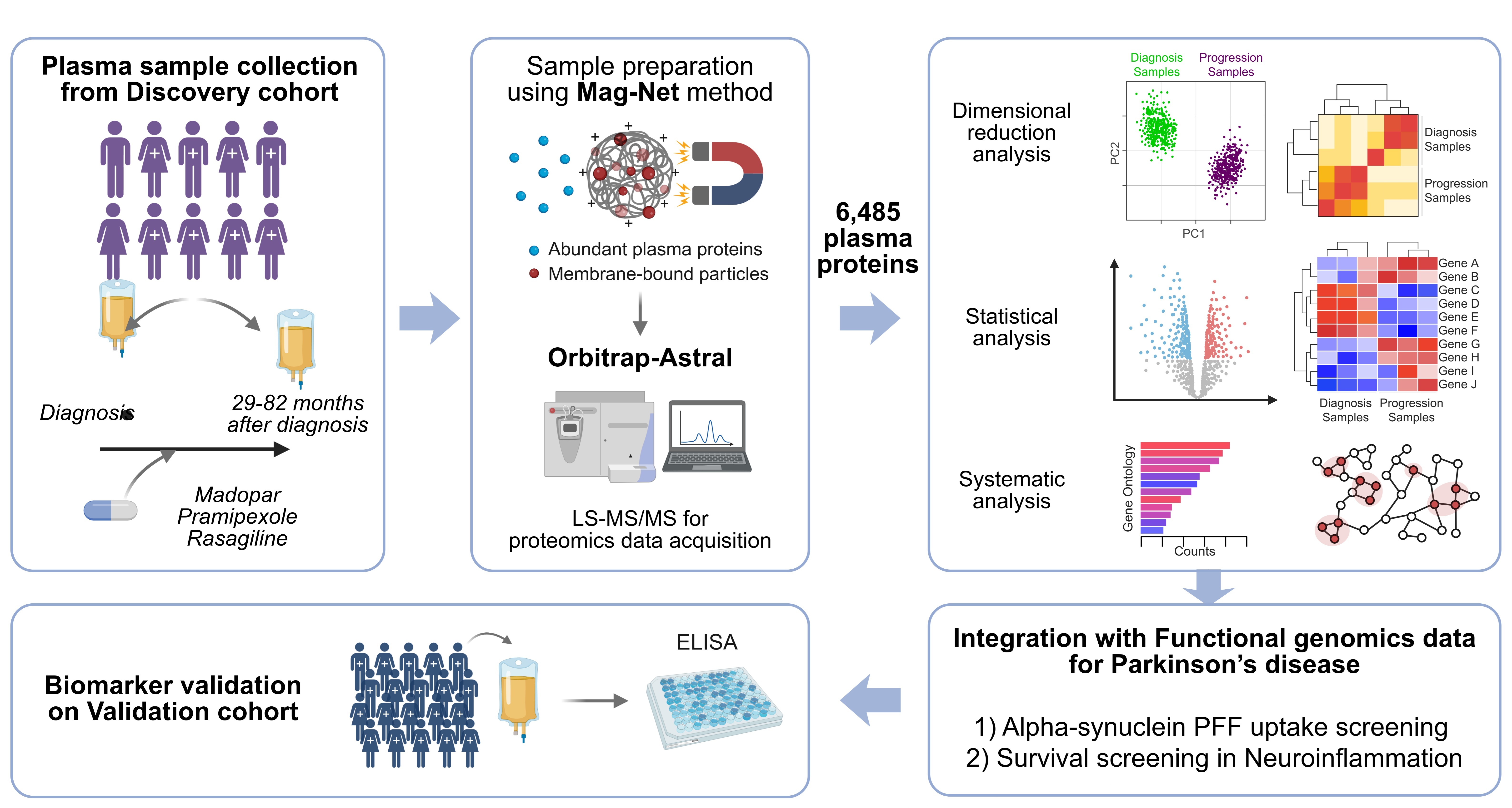 Protein signature from plasma proteins