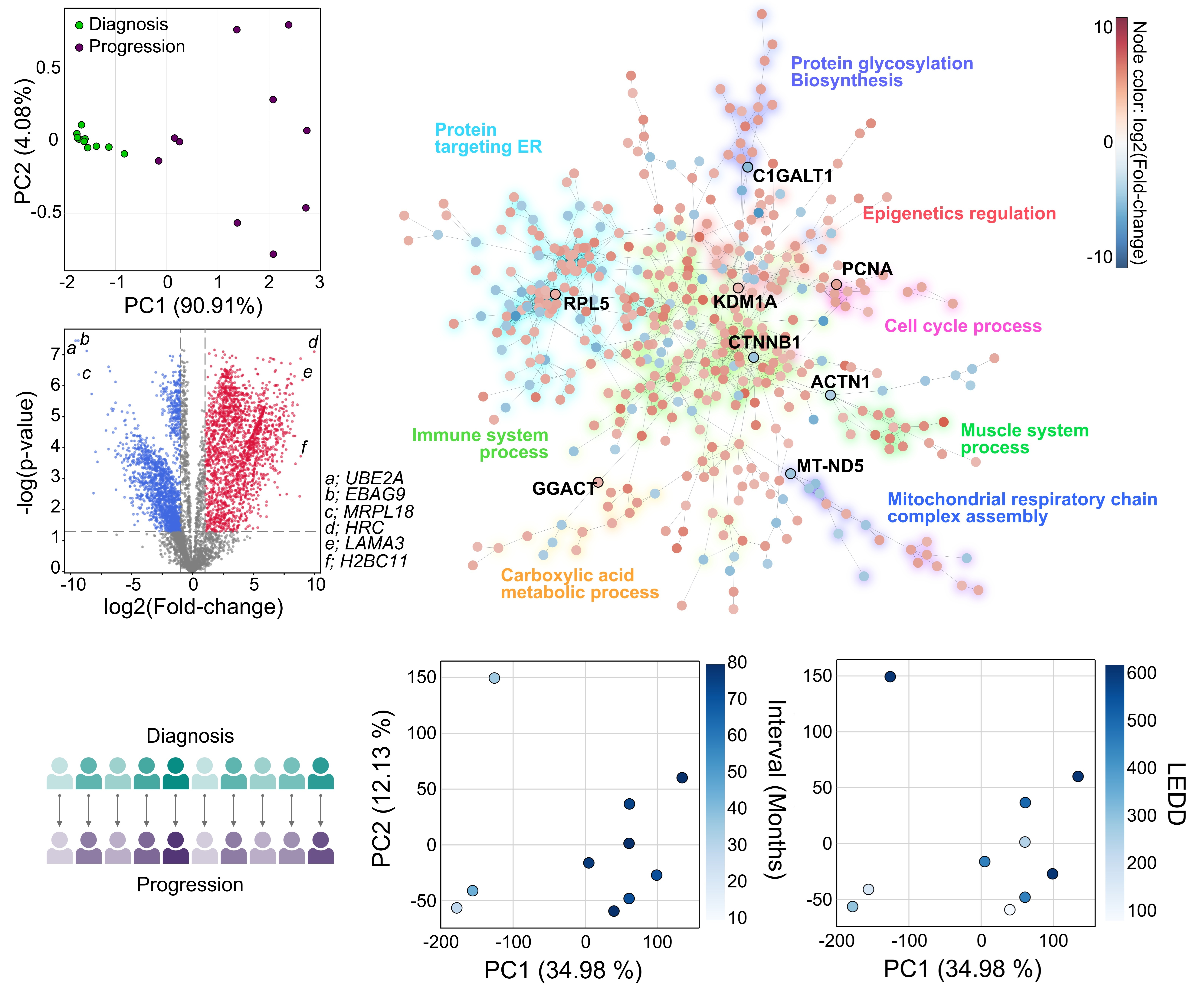 Progression-related protein biomarkers