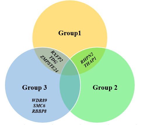 Venn diagram for Gene distribution