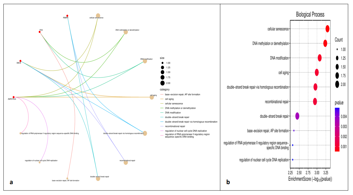 Pathway enrichment analysis: cnet and dot plots.