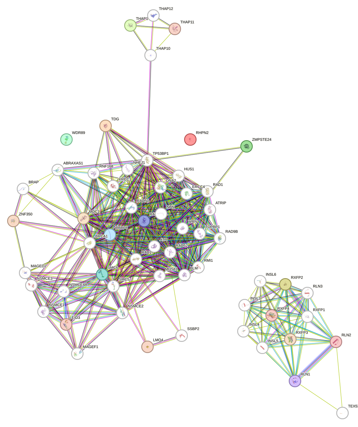 PPI network of enriched dystonia genes.