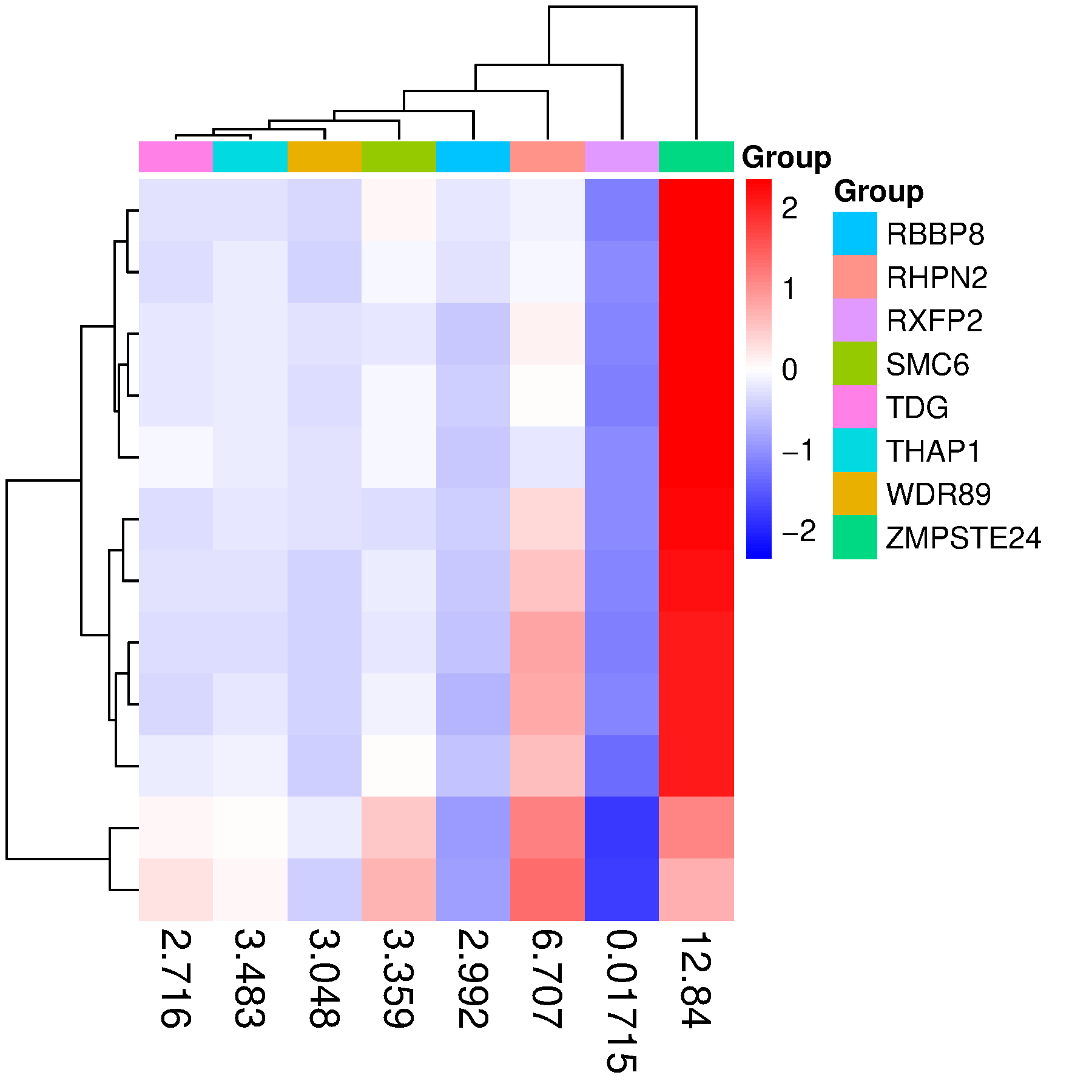 Heatmap showing TPM of candidate genes in brain.