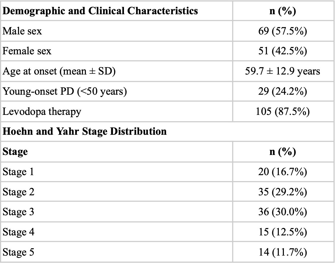 Patient Characteristics (n = 120)