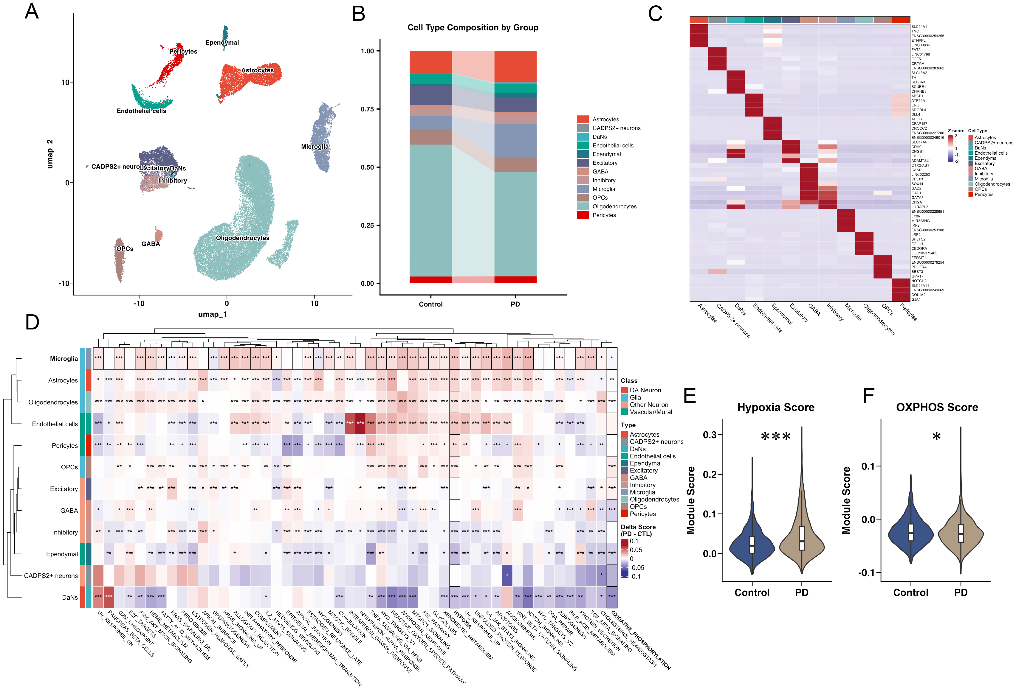 scRNA-seq: hypoxic & metabolic shifts in PD MG