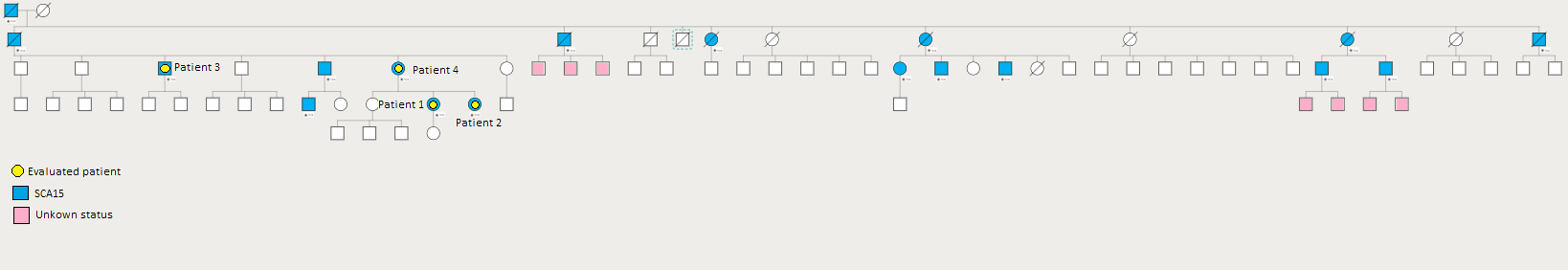 Family tree genogram