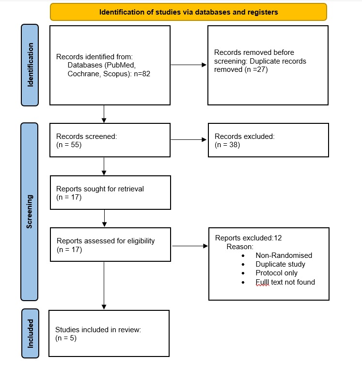 PRISMA Flowchart
