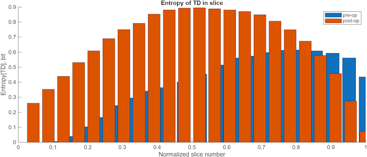 Entropy of TD in slice